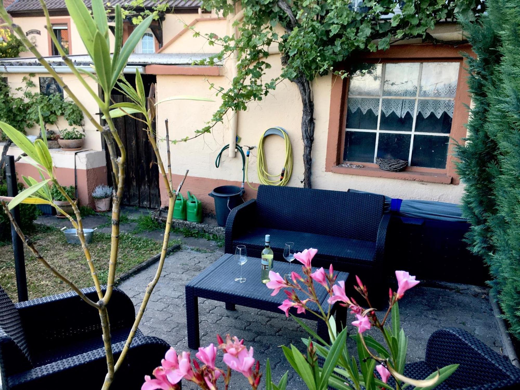 Ferienwohnung Suedpfalzblick Burrweiler Dış mekan fotoğraf